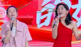 优酷综艺爆料刘敏涛视频,精彩瞬间引网友热议